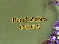 PearlZebra珍珠斑马·咖啡·三明治·鲜花店