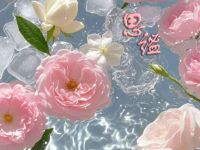 思谧养生按摩SPA 