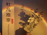 杜凡推拿SPA个人工作室