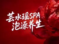 芸水谣