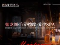 御龙阁养生按摩SPA