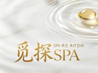 觅探SPA(丽苑维景国际大酒店)